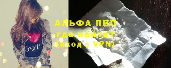 стаф Баксан