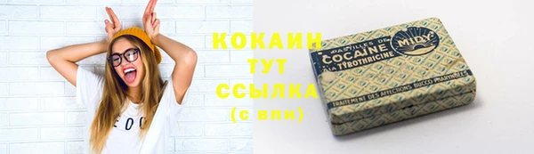 стаф Баксан