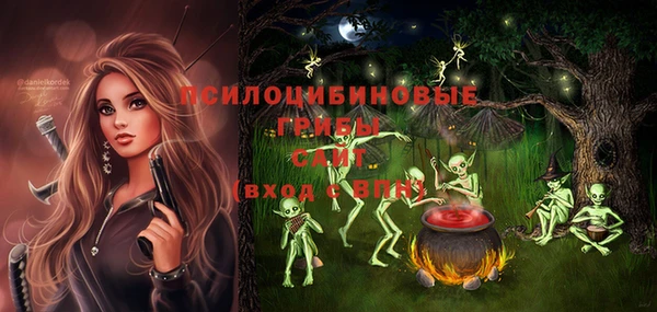 стаф Баксан