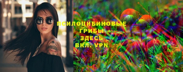 молекула духа Балахна