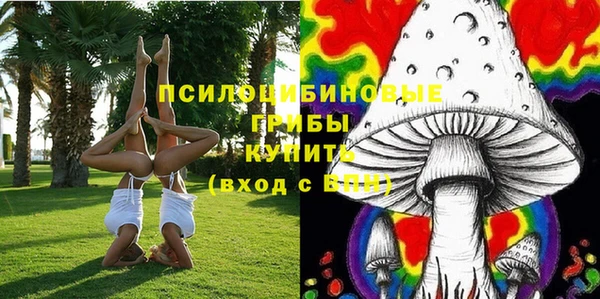 стаф Баксан