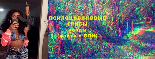 молекула духа Балахна