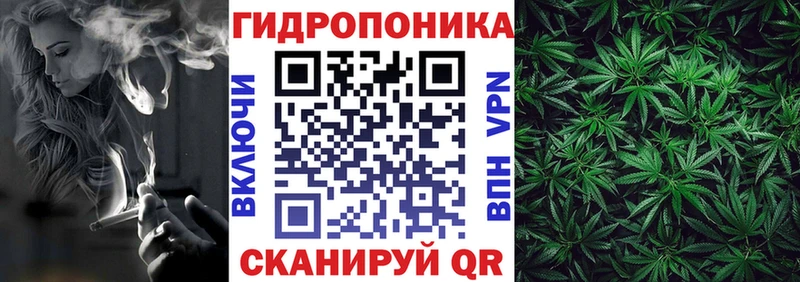 Бошки марихуана THC 21%  Кукмор 